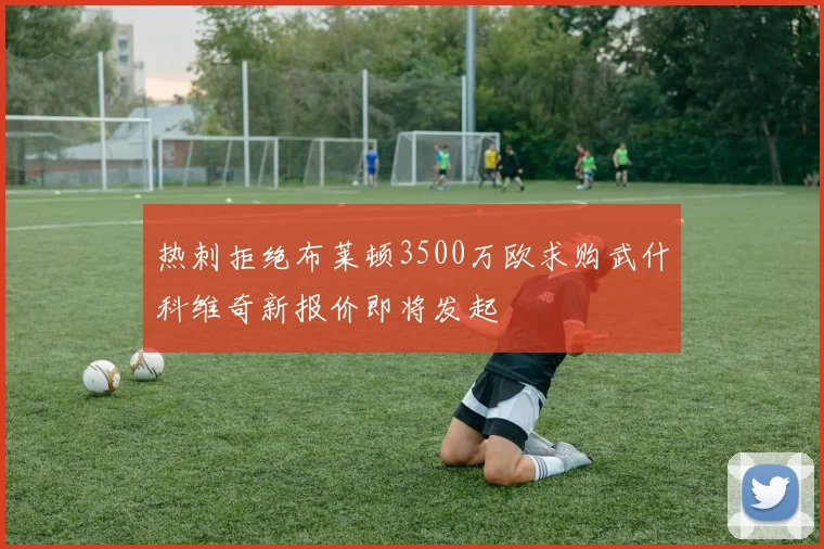 热刺拒绝布莱顿3500万欧求购武什科维奇新报价即将发起